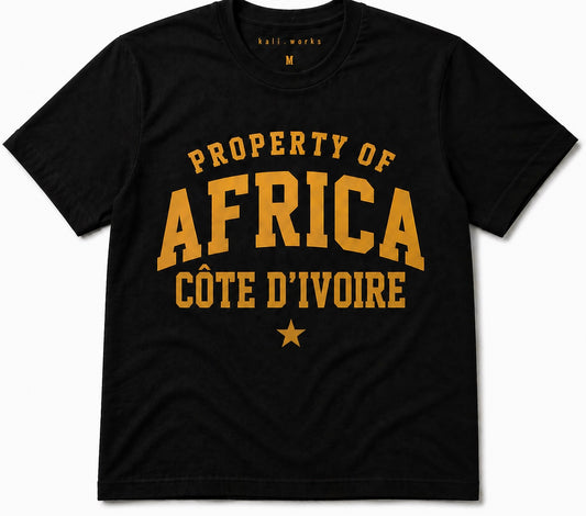 Côte d'Ivoire World Cup 26 Tee